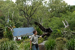 0060 Cairns Tropical Zoo